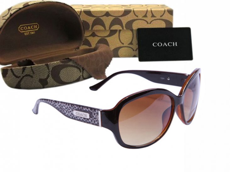 Coach Sunglasses 8020 | Women
